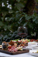 Italian antipasti wine snacks on table, outdoor party