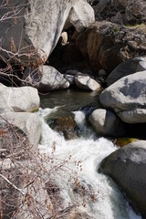 Sequoia National Park, California, Usa