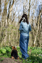 Naklejka na ściany i meble a brunette girl in jeans and a denim shirt on a walk in the forest with a corgi dog