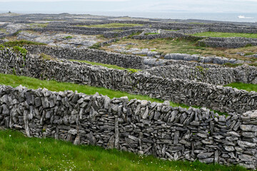 Amazing maze of stone walls and green fields. on Inisheer, Aran island, county Galway, Ireland....