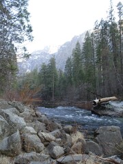 Yosemite Nation Park, California, Usa