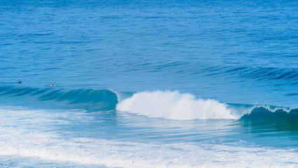 Fototapeta premium Beautiful blue sea and curly waves. Peacefully atmosphere in tropical paradise island.