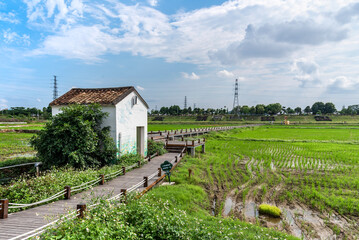 landscape of Shangyuan Rice Field Park in Chashan Town, Dongguan City in spring. Beautiful countryside. A small white house and wooden path on the green paddy field. 