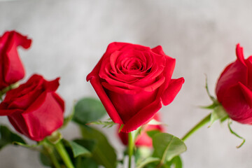 Bouquet of red roses. Flower background. Copy space. 