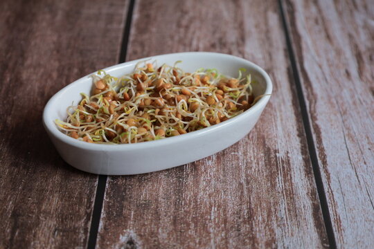 Bonn Germany April 2022 germinated mountain lentils in a serving bowl on the table
