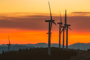 Obraz premium Windräder im Abendrot