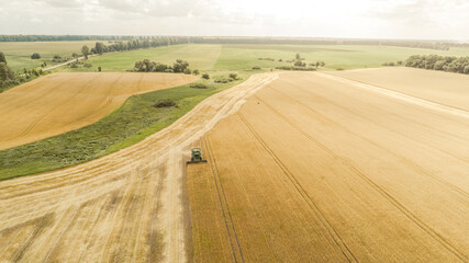 Aerial view combine harvester harvesting on the field