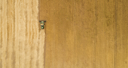 Fototapeta na wymiar Aerial view combine harvester harvesting on the field