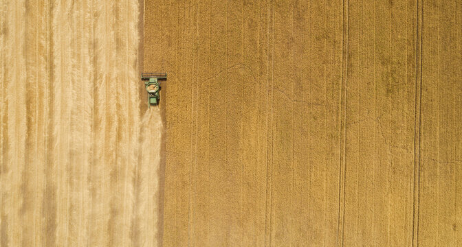 Aerial View Combine Harvester Harvesting On The Field