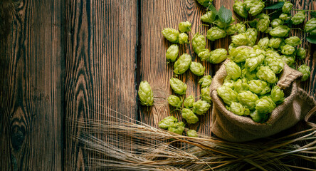 The main brewery ingredients- are green hop cones in a linen sack and barley ears on a rustic aged wooden table surface. Oktoberfest beer concept. Product flat lay background.