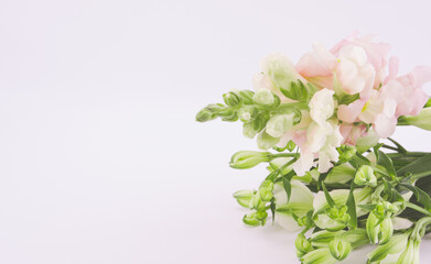 Fototapeta na wymiar Kartka z kwiatami z miejscem na tekst, delikatne pastelowe kolory.