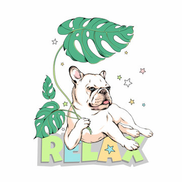 Cute french bulldog with monstera leaves. Relax illustration. Stylish image to print on any surface