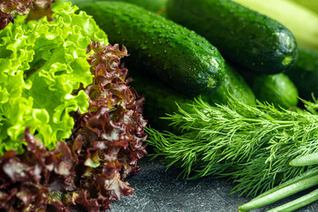 Fresh vegetables for salad. Tomatoes and lettuce, cucumbers with zucchini and cabbage with dill. Spring harvest, benefits and vitamins. On a dark background.