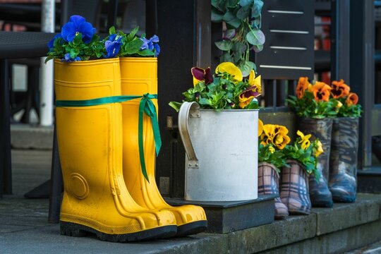 Ż&oacute;łte gumowce służące jako doniczki z bratkami i inne kwiaty