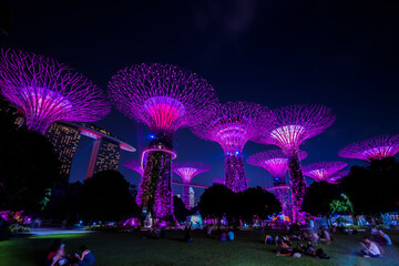 Singapore City, Singapore - September 11,2019: Night view of Gardens by the Bay  a nature park in Singapore City. - obrazy, fototapety, plakaty