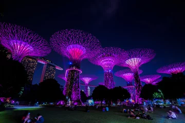 Foto op Aluminium Singapore City, Singapore - September 11,2019: Night view of Gardens by the Bay  a nature park in Singapore City. © A1