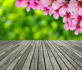 wooden spring blossom