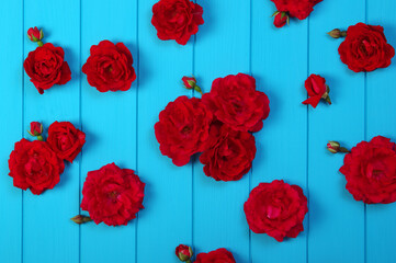 Fototapeta na wymiar Red roses flowers on blue wood.