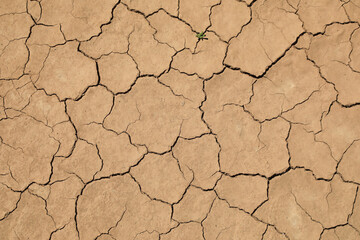 sequía suelo seco agrietado falta de agua textura  desertización almería españa 4M0A5215-as22