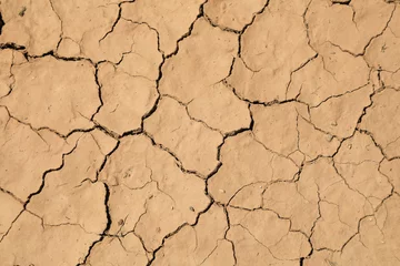 Deurstickers sequía tierra seca agrietada falta de agua textura desertización sur almería españa 4M0A5233-as22 © txakel