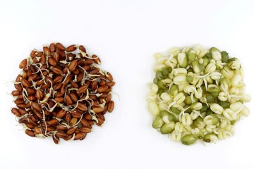 Sprouted grains of red wheat and mung beans, white background. Healthy eating concept