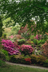 Beautiful Garden with blooming trees and bushes during spring time, Wales, UK