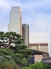 Fototapeta na wymiar Modern high rise buildings and old temple in downtown in Seoul
