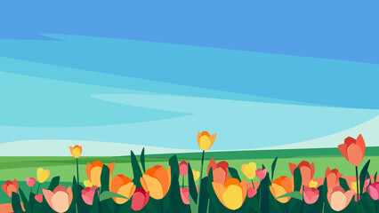 Tulips of different colors on the meadow. Beautiful nature landscape.