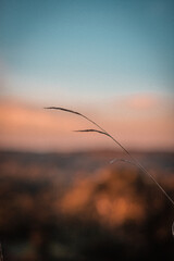 Obraz premium Atardecer con colores pasteles