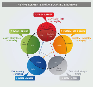 Diagramme de 5 &Eacute;l&eacute;ments avec Organes et &Eacute;motions associ&eacute;es en Anglais, Sant&eacute;, Sant&eacute; naturelle et M&eacute;decine chinoise, Cycle de Vie, 4 Saisons