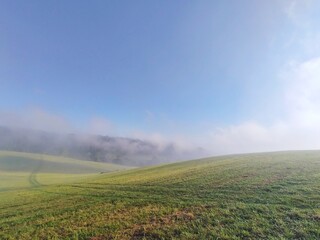 Mist in the forest. Sunrays behind the trees. Slovakia