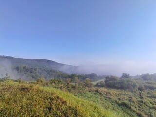 Obraz premium Mist in the forest. Sunrays behind the trees. Slovakia