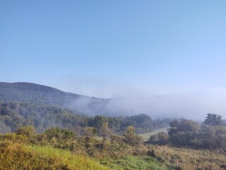 Mist in the forest. Sunrays behind the trees. Slovakia