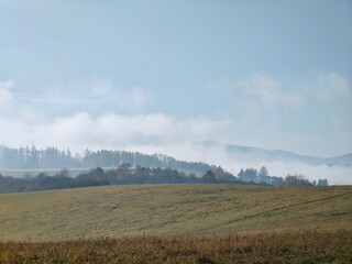 Naklejka na ściany i meble Mist in the forest. Sunrays behind the trees. Slovakia