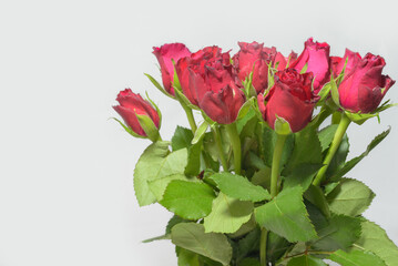 Red roses. Simple bouquet with red roses on a white background. copy space