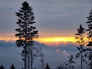Mist in the forest. Sunrays behind the trees. Slovakia