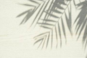 Palm leaves shadows on a white wooden surface background, top view