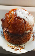 Easter cake with powdered sugar and raisins on a plate