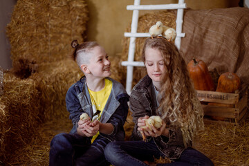 brother and sister on the farm playing with rabbits and chickens