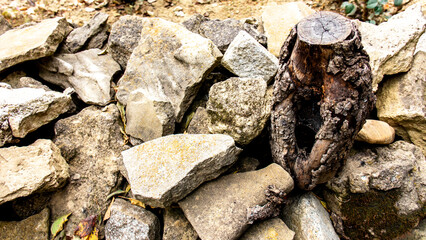 rocks