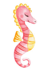 Fototapeta premium Seahorse on an isolated white background. Watercolor drawing