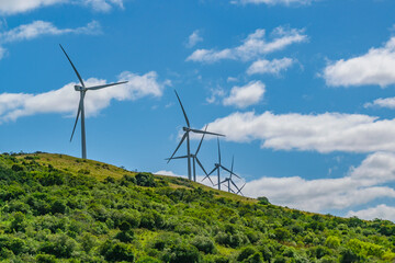 Windmillls at Countryside Landscape, Uruguay