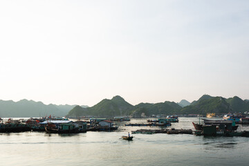 Person paddles standing on his boat in the early morning by floating fishing village on Cat Ba Island, Halong Bay, Vietnam.
