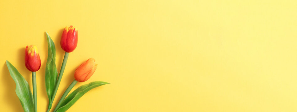 Mother's day background concept. Top view design of holiday greeting tulip flower bouquet on bright yellow table