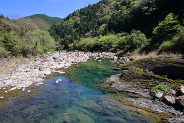 堀ヶ生沈下橋から奈半利川を眺める　春　（高知県　北川村）