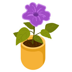 Violet Houseplant