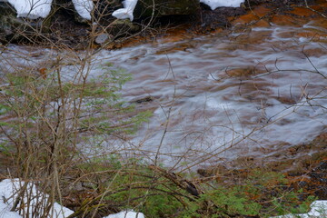 まだ白い雪が残る早春の渓流