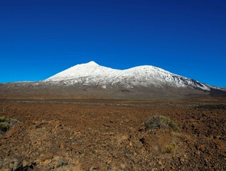 Desert Landscape
