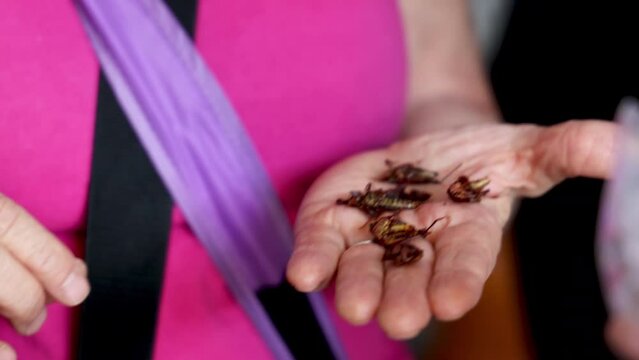 Woman Holding Fried Grasshoppers (chapulines)  in Mexican Market in Oaxaca