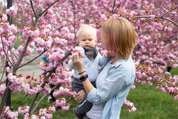 happy mother with adorable little son in park with Sakura Cherry blossom tree. Happy mother and child.